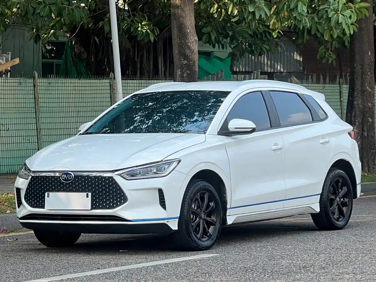BYD e2 2020 2020 Upgraded Long Range Luxury