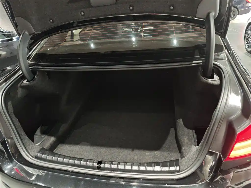BMW 5 Series 2020 530Li Premium Luxury Package фото 19