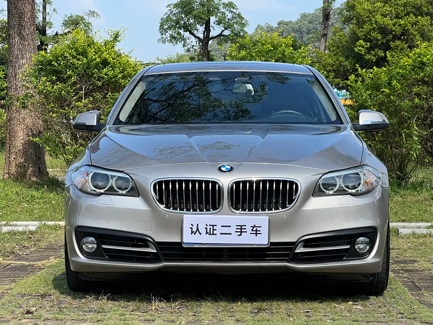 BMW 5 Series 2014 525Li Leading фото 2