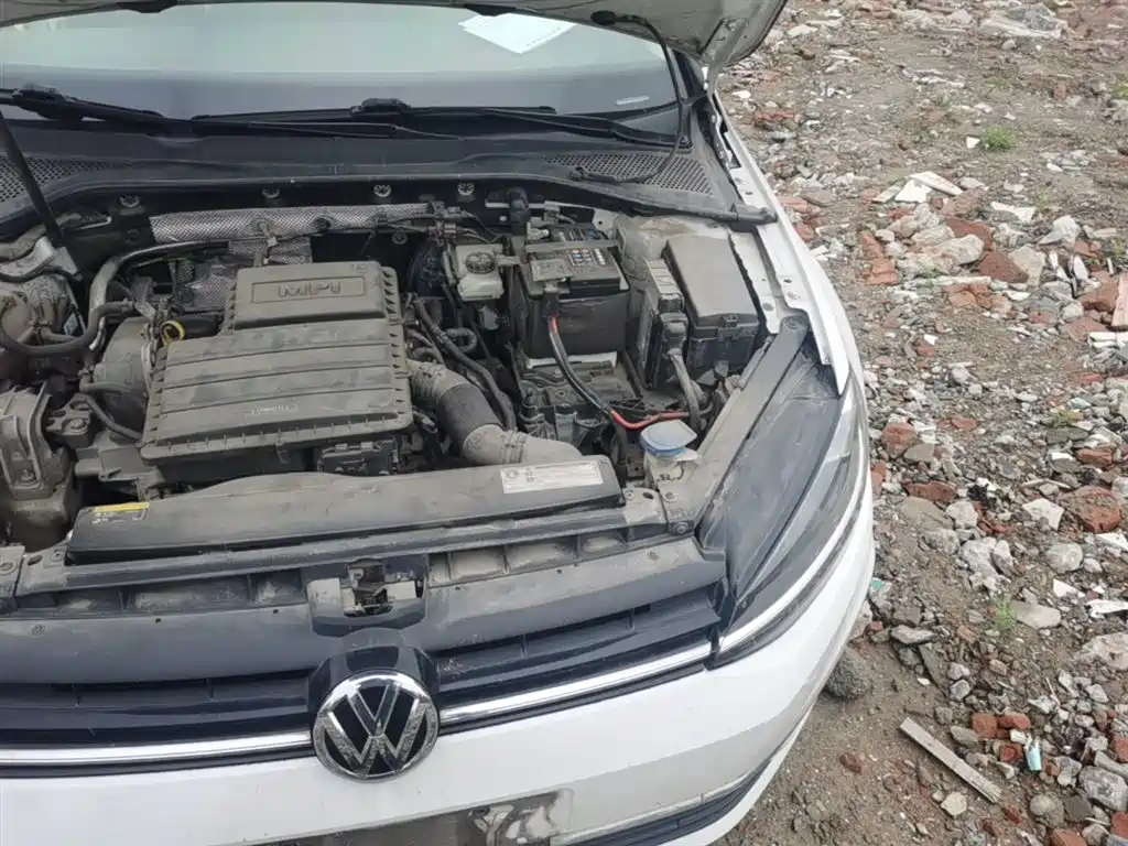 Volkswagen Golf 2018 1.6L Automatic Comfort фото 22