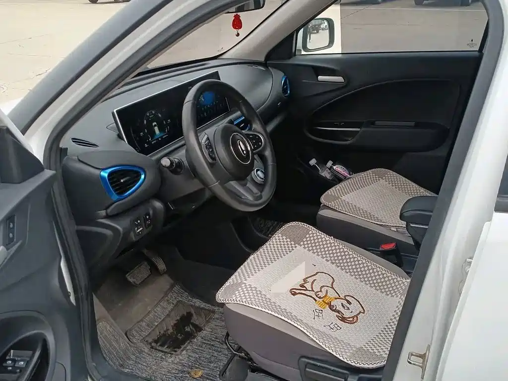 Ora White Cat 2021 2020 305km Luxury