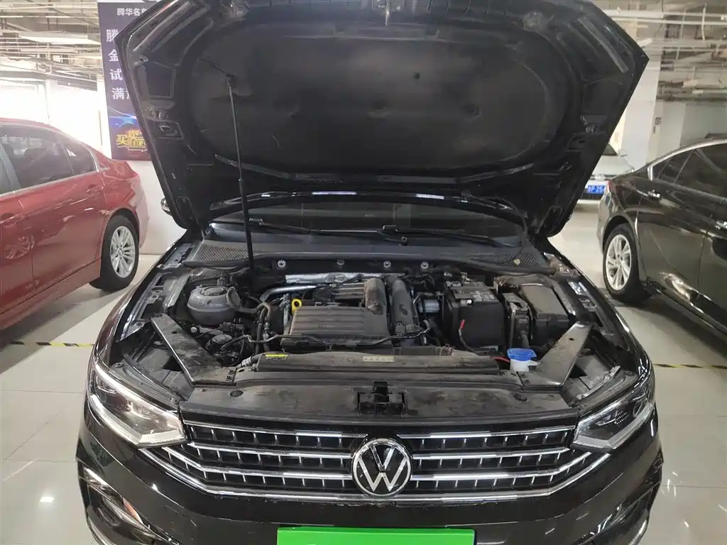 Volkswagen Magotan 2025 Popular Edition 280TSI DSG Comfort фото 10