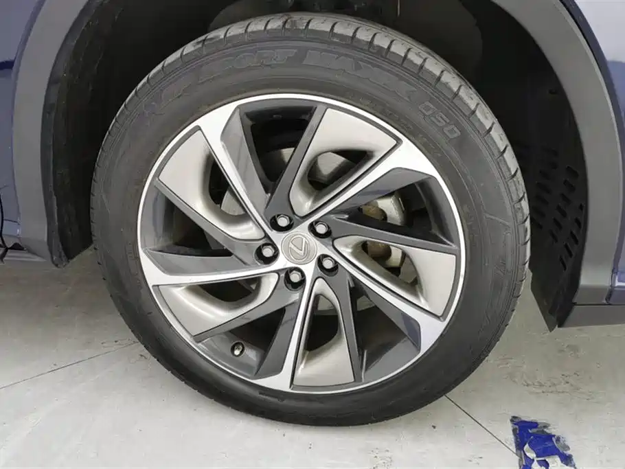 Lexus RX 2016 300 4WD Elegance Edition (China V) фото 6
