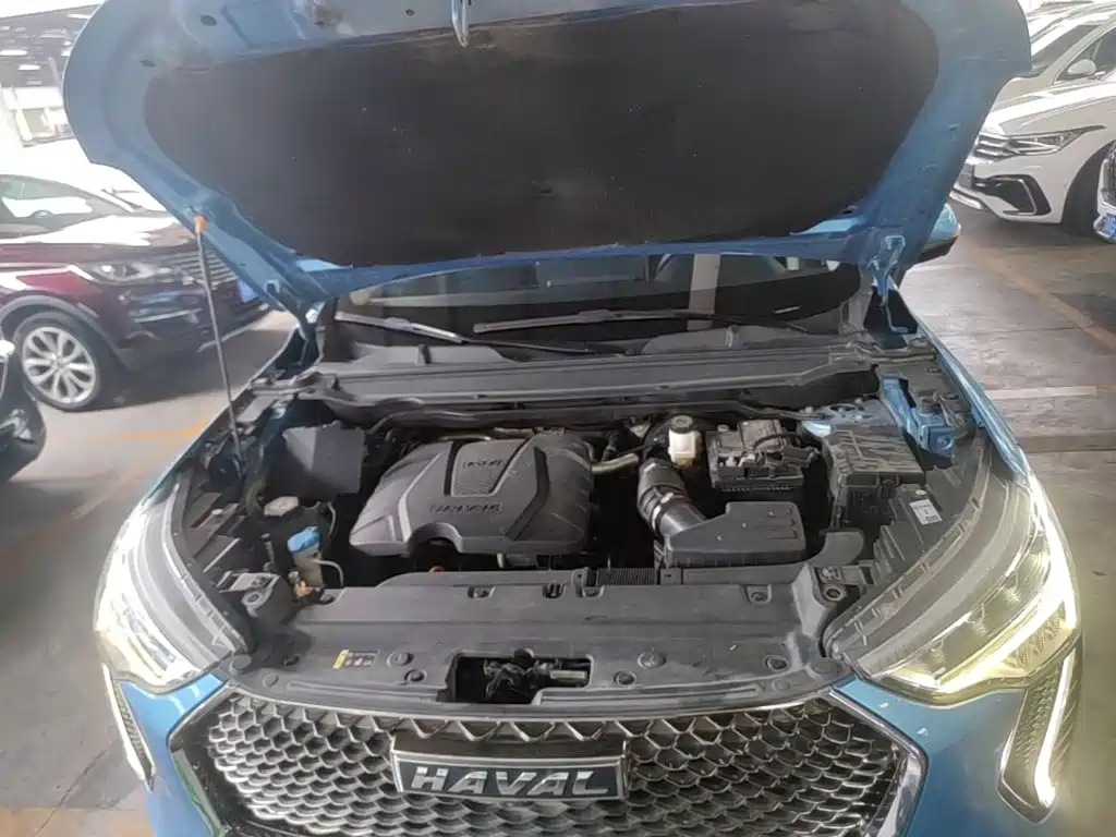 Haval First Love 2021 2021 1.5T Automatic Junior Edition