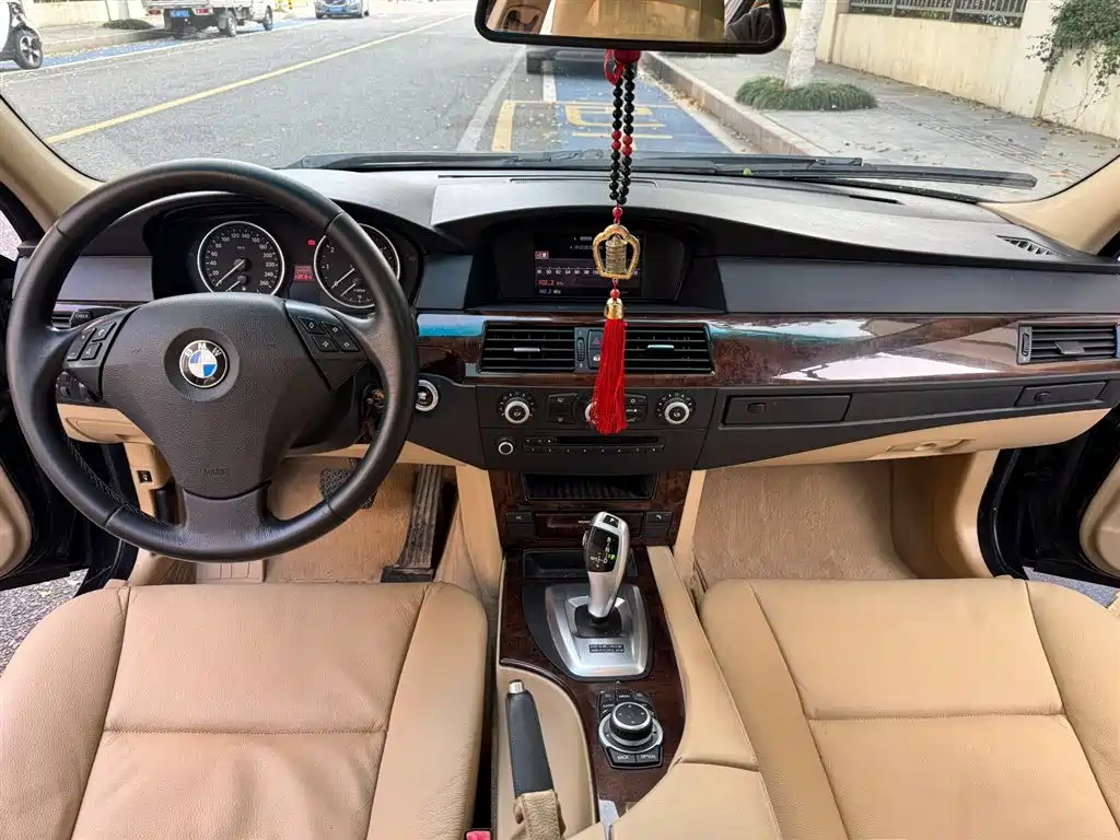 BMW 5 Series 2010 520Li Luxury фото 14