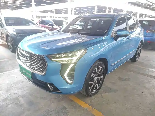  Haval Haval First Love 2021 1.5T Automatic Junior Edition