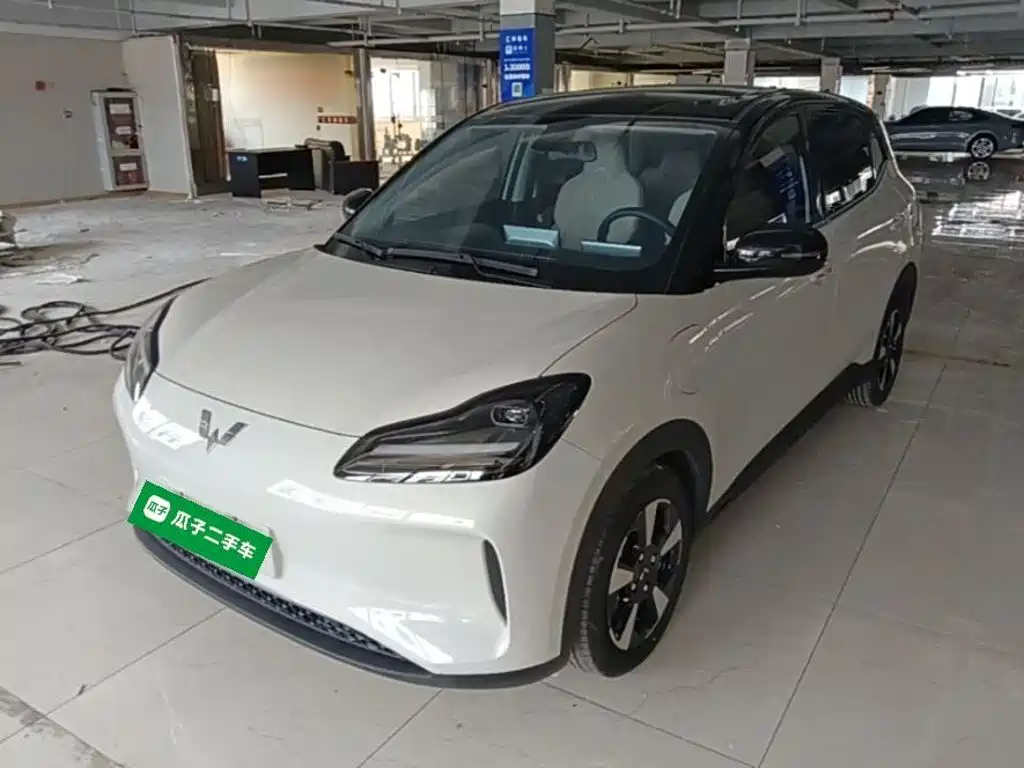 Фото 1 - Wuling Motors Wuling Binguo PLUS