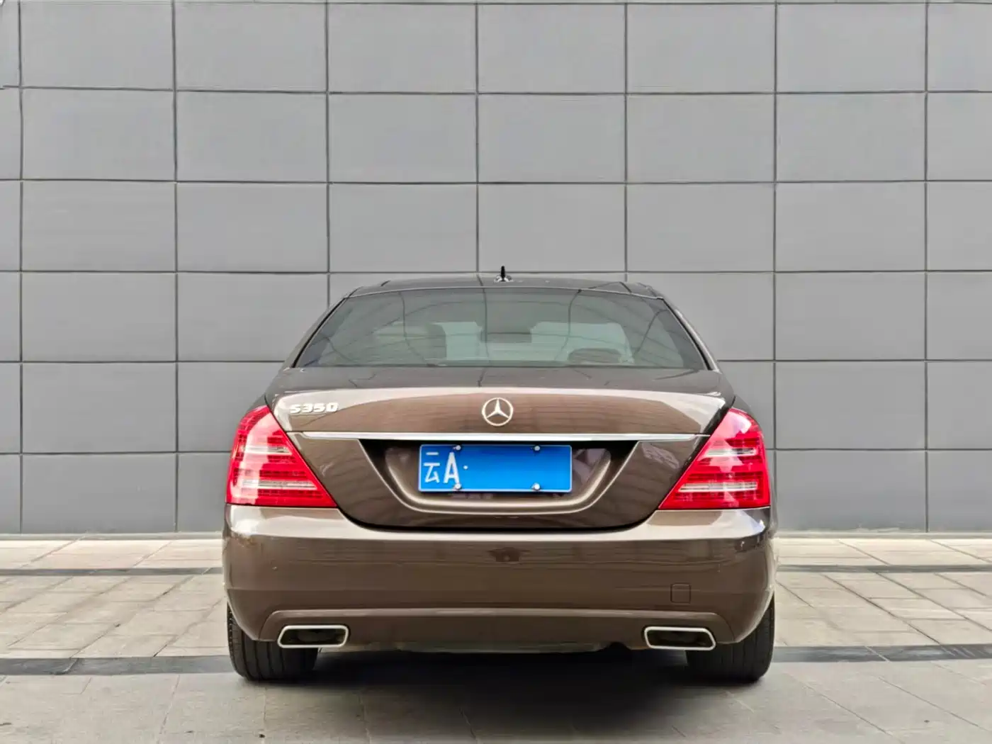 Mercedes-Benz S-Class 2010 S 350 L Luxury фото 5