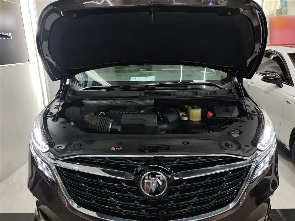 Buick GL8 2021 ES Landlord 653T Premium фото 20
