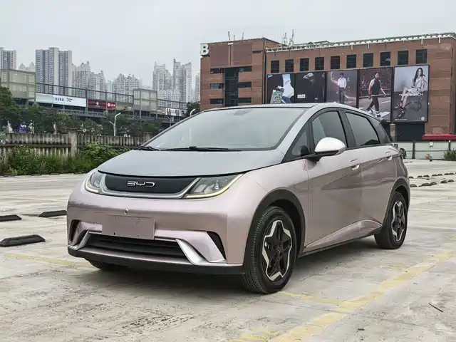 BYD Dolphin 405km, Стиль