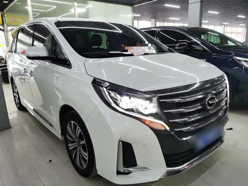 GAC Trumpchi Trumpchi M8 2020 Pilot 390T Prestige Edition фото 20