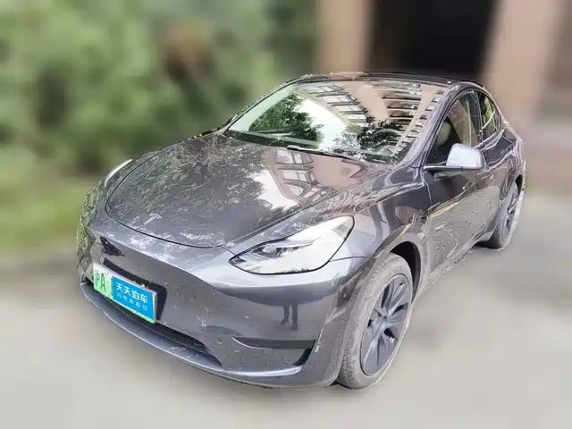 Tesla Model Y 2024 Rear-Wheel Drive Version — фото 1