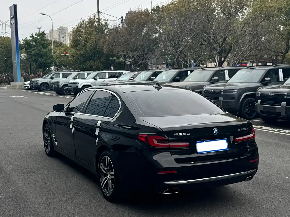 BMW 5 Series 2022 530Li Leading Luxury Package фото 13