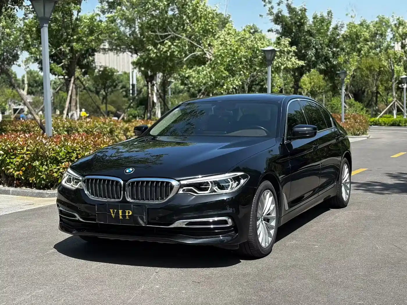 BMW 5 Series 2020 530Li Leading Luxury Package