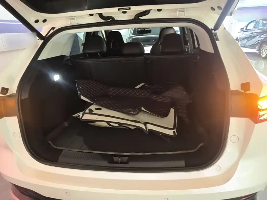Photo 19 - Roewe D5X DMH