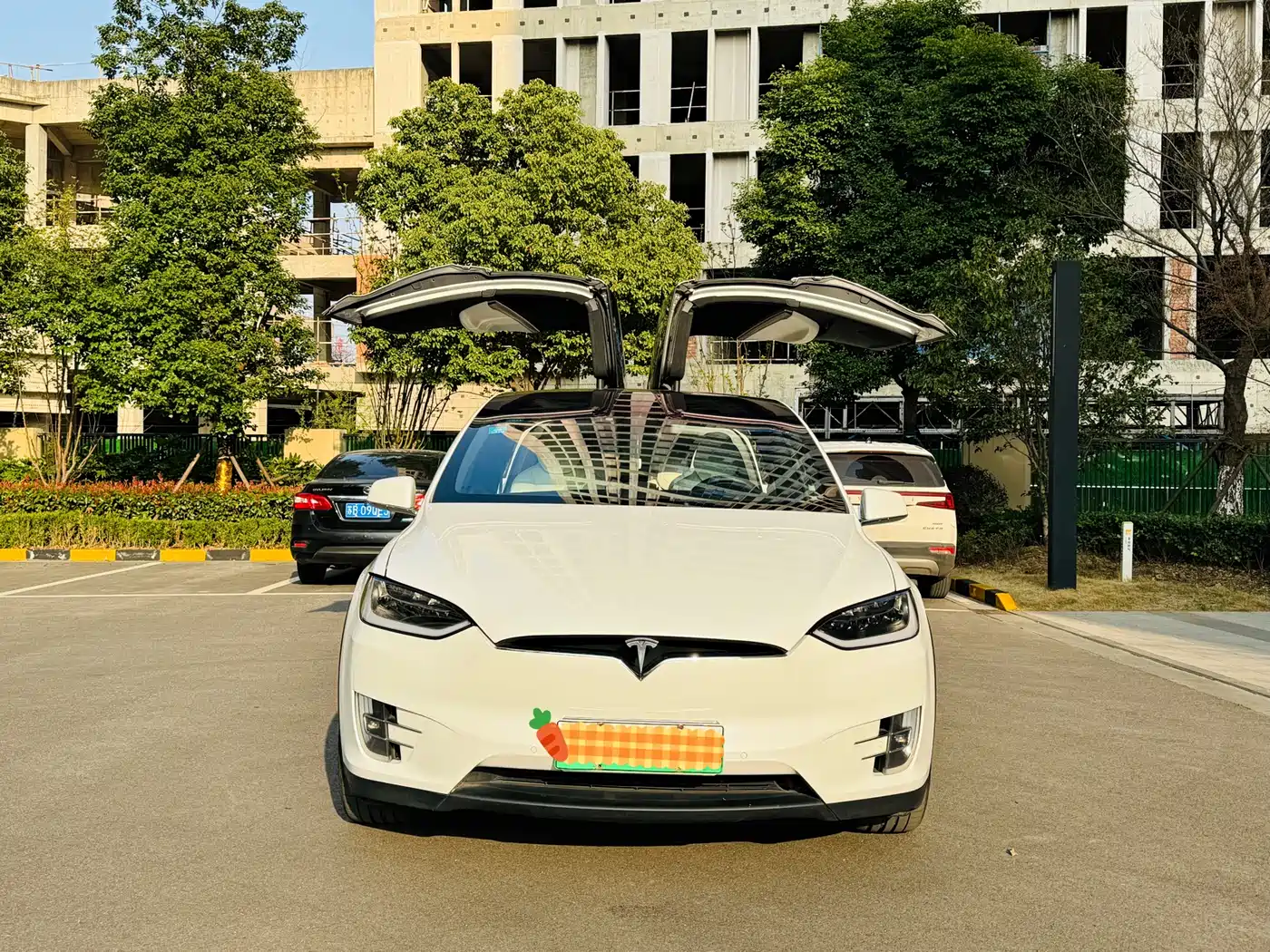 TESLA MODEL X