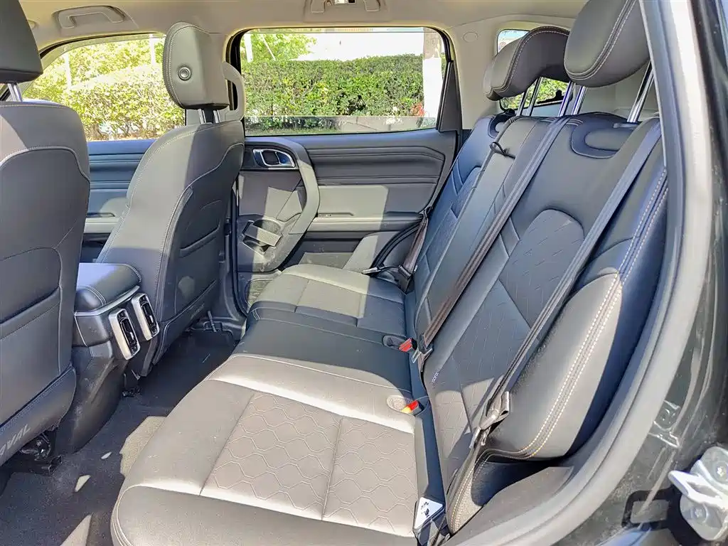Haval Big Dog 2024 2.0T DCT Chinese Rural Dog Edition фото 8