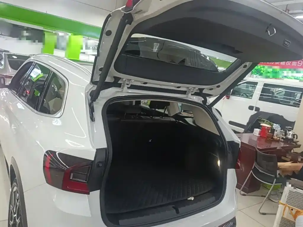 BMW iX1 2024 2023 xDrive30L X Design Package