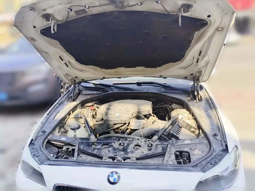 BMW 5 Series (Import) 2013 2013 520i Elegance