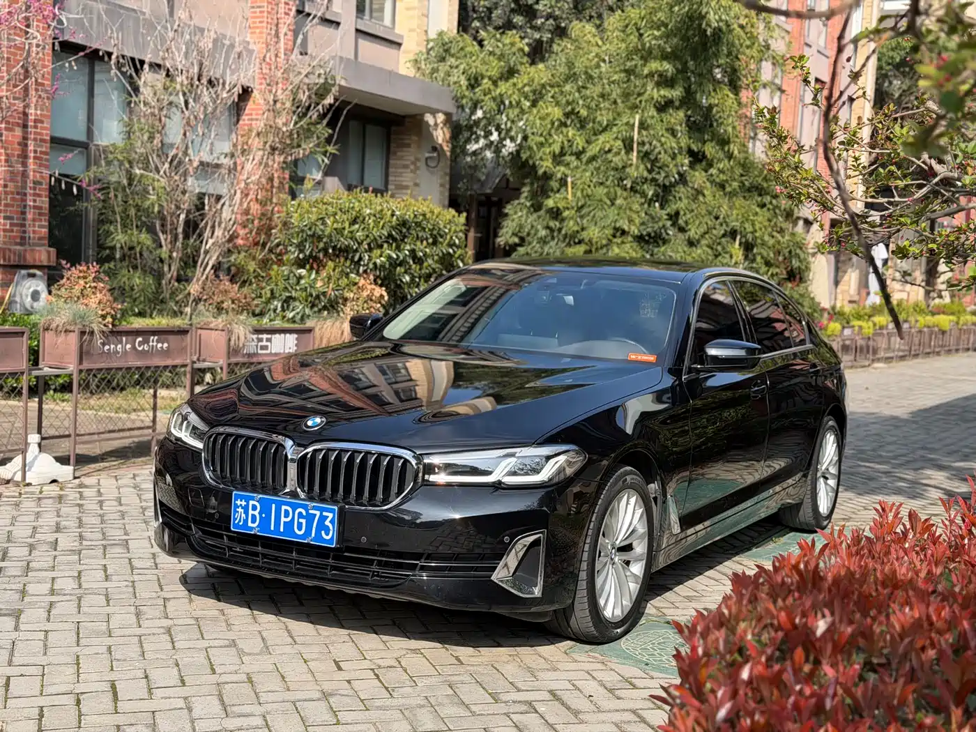 BMW 5 Series 2021 525Li Luxury Package