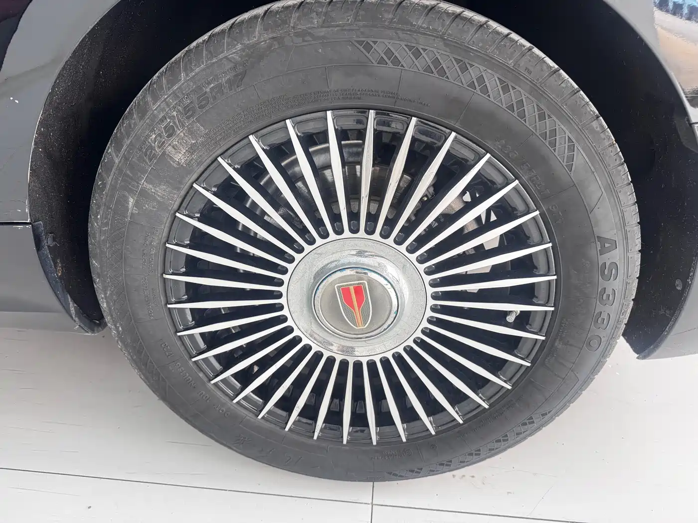 Hongqi H5 2023 1.5T DCT Smart Connect Joy Edition фото 11