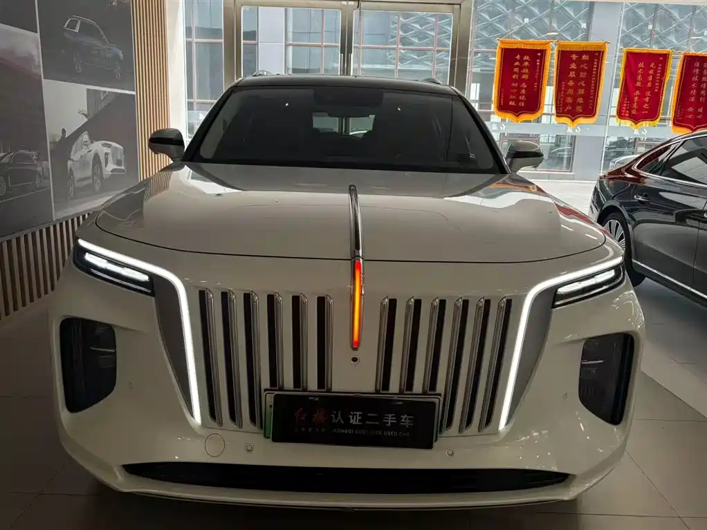 Фото 17 - Hongqi E-HS9