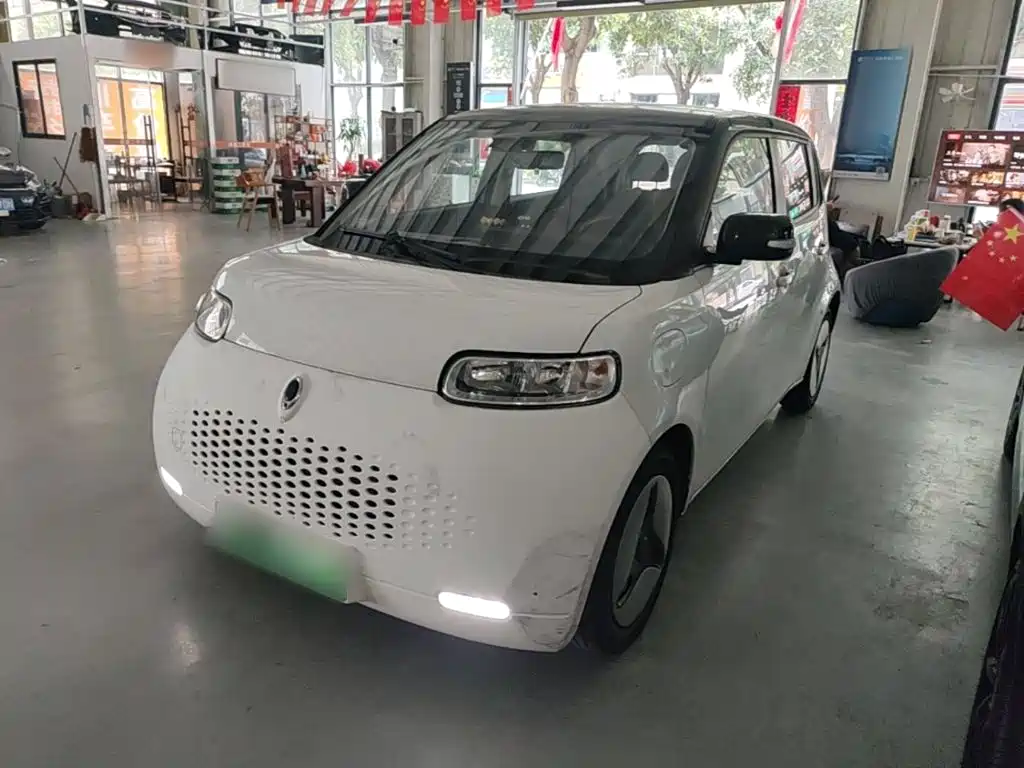 Ora White Cat 2021 2020 360km Luxury Model