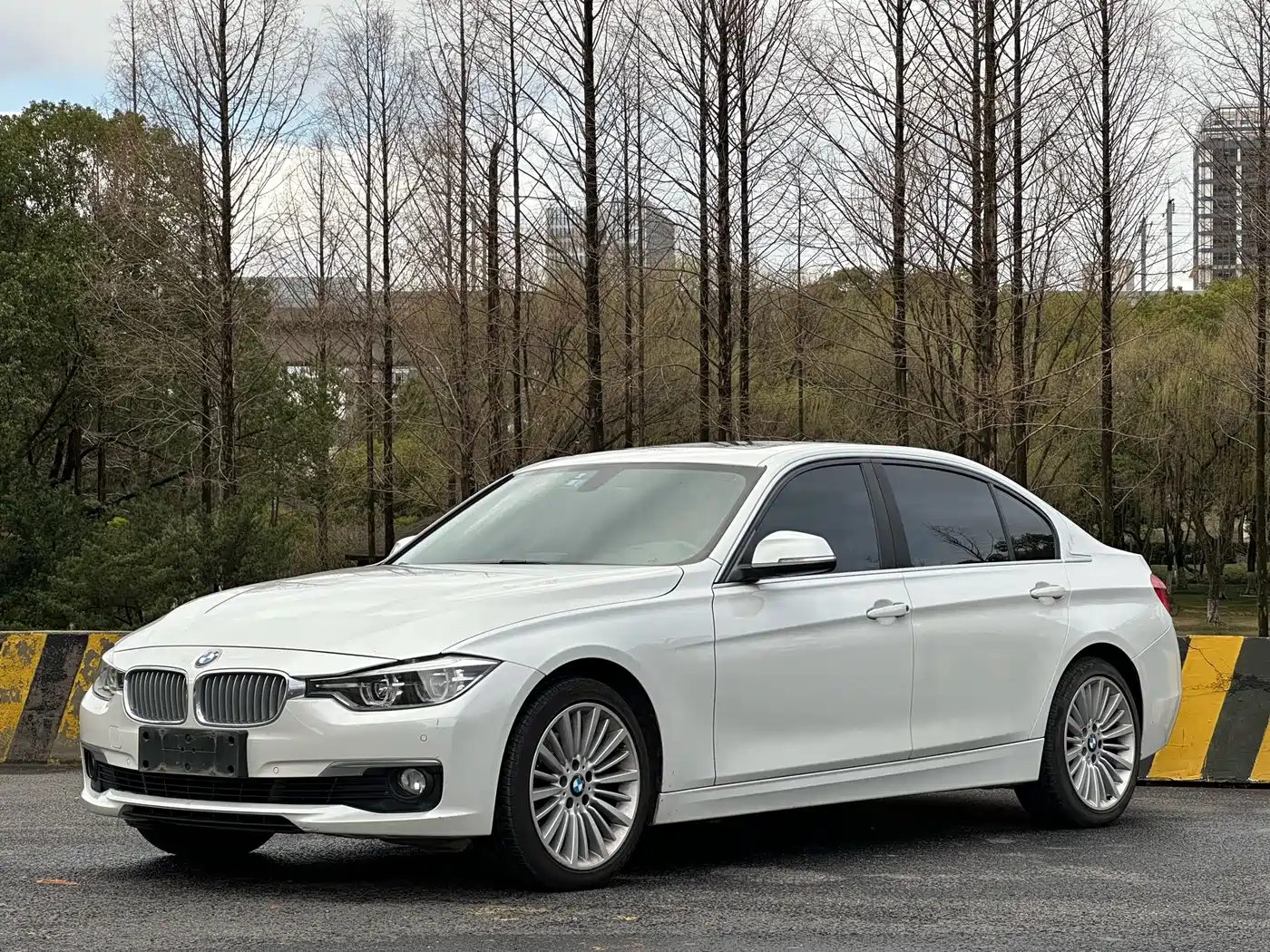 BMW 3 Series 2018 320Li Fashion Style