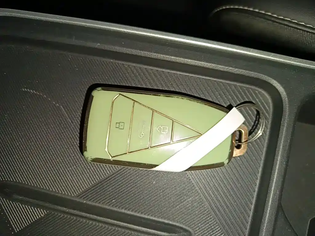 Venucia VX6 2025 2024 520 Travel Edition