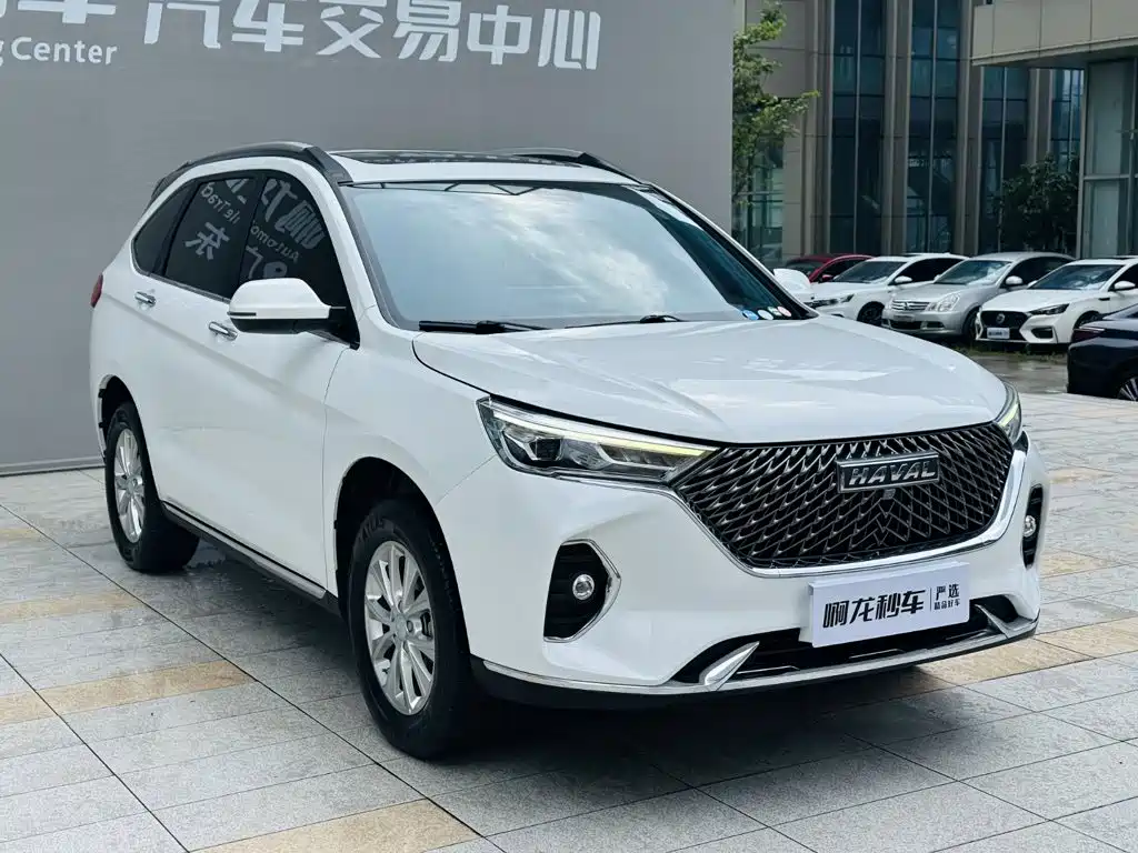 Фото 3 - Haval M6