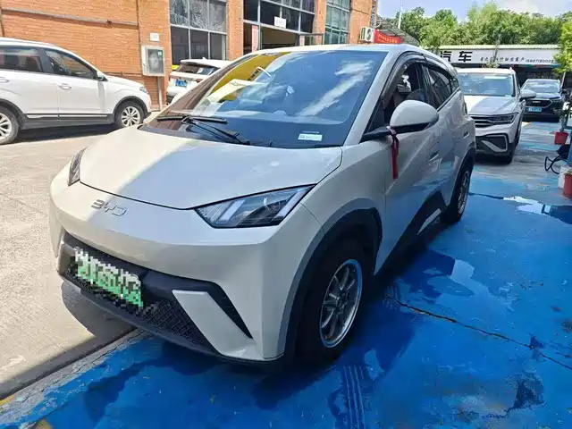  BYD Seagull 2024 Glory Edition 305km Vitality Edition