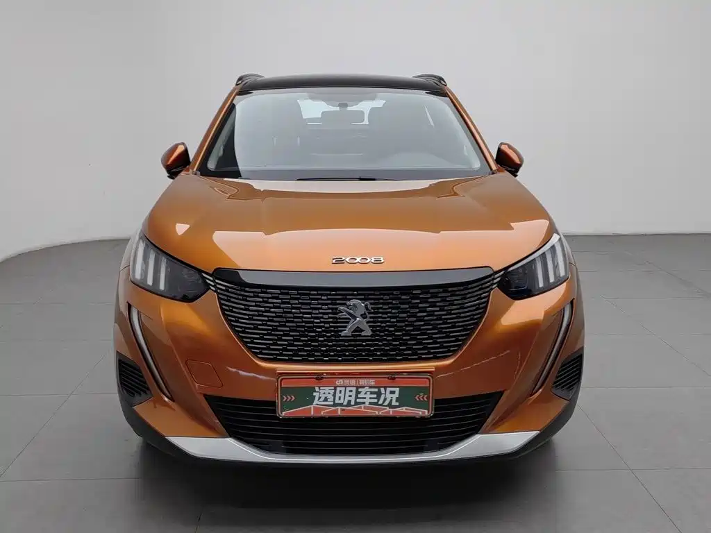 Фото 3 - Peugeot 2008