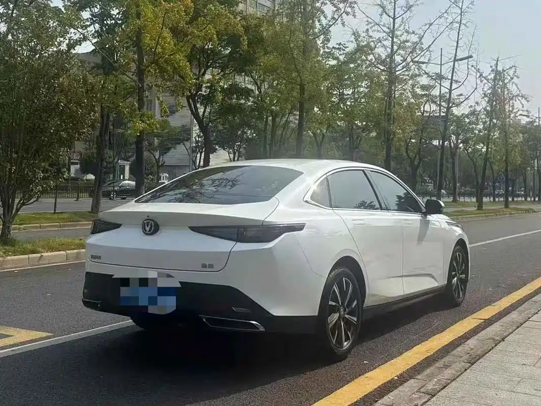Фото 4 - Changan Eado