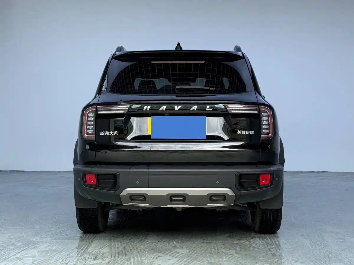 HAVAL BIG DOG