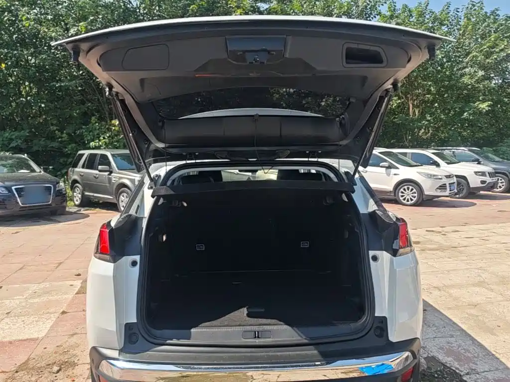 صورة 19 - Peugeot 4008