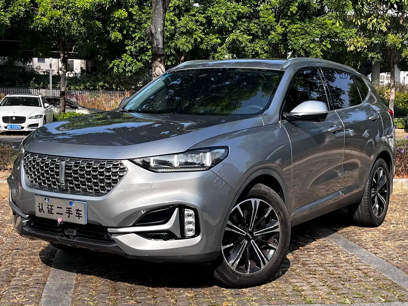 WEY VV6 2020 2.0T 2WD Smart Enjoy+