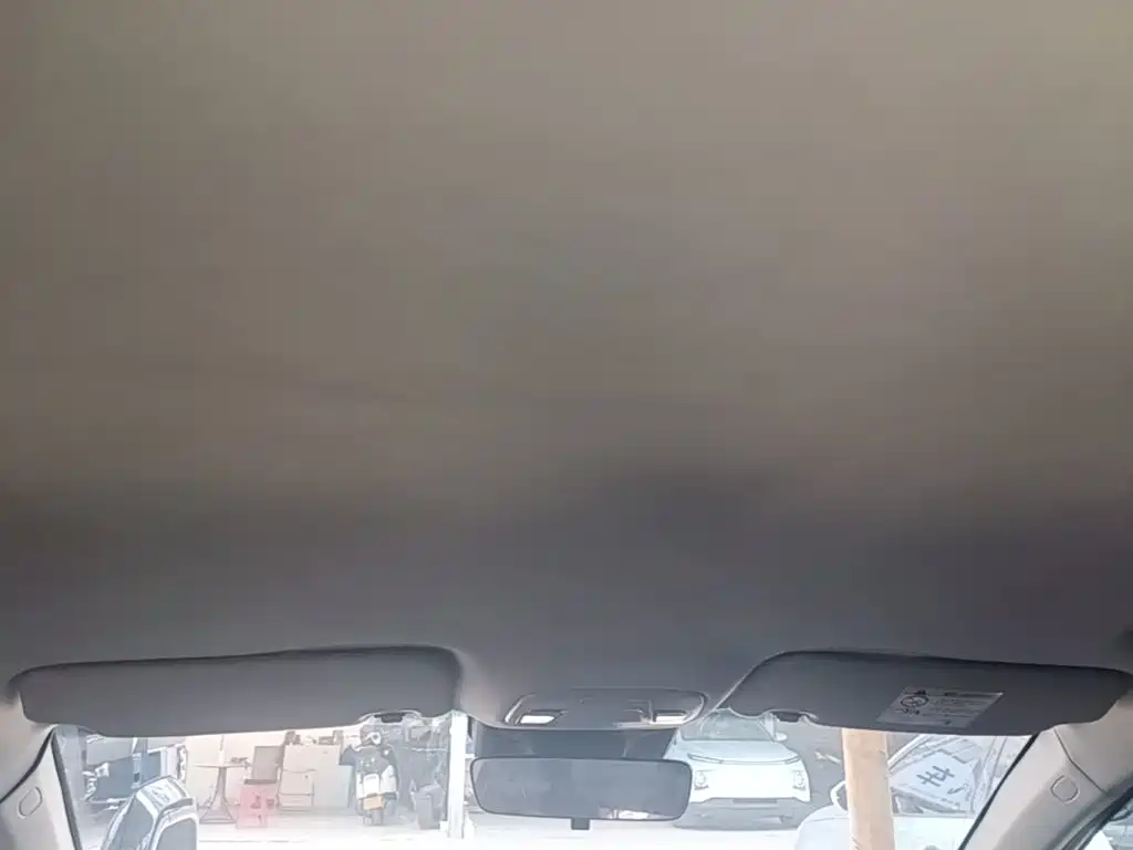 Geely Geometry G6 2024 2024 500KM Premium