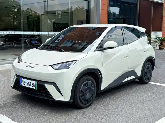  BYD Seagull 2024 Glory Edition 305km Vitality Edition