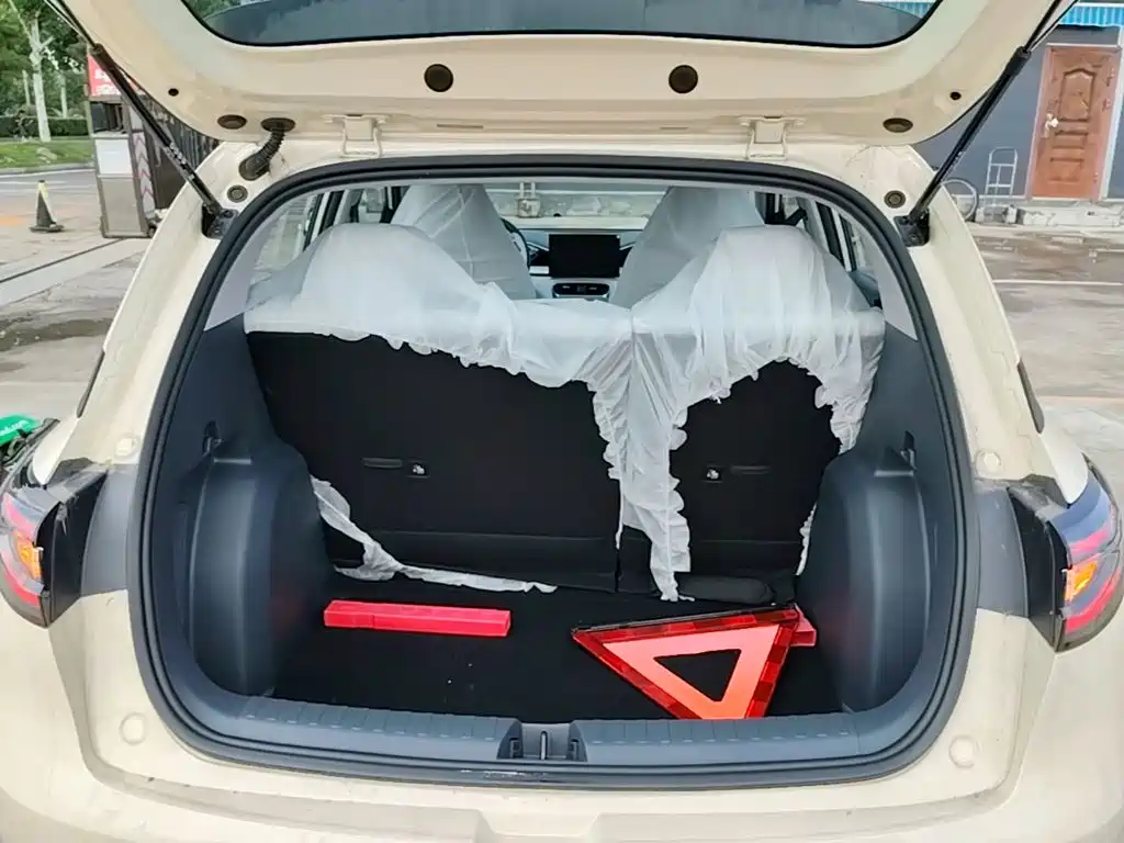 Geely Galaxy Starry Wish 2026 2026 Edition 310km Youth Version