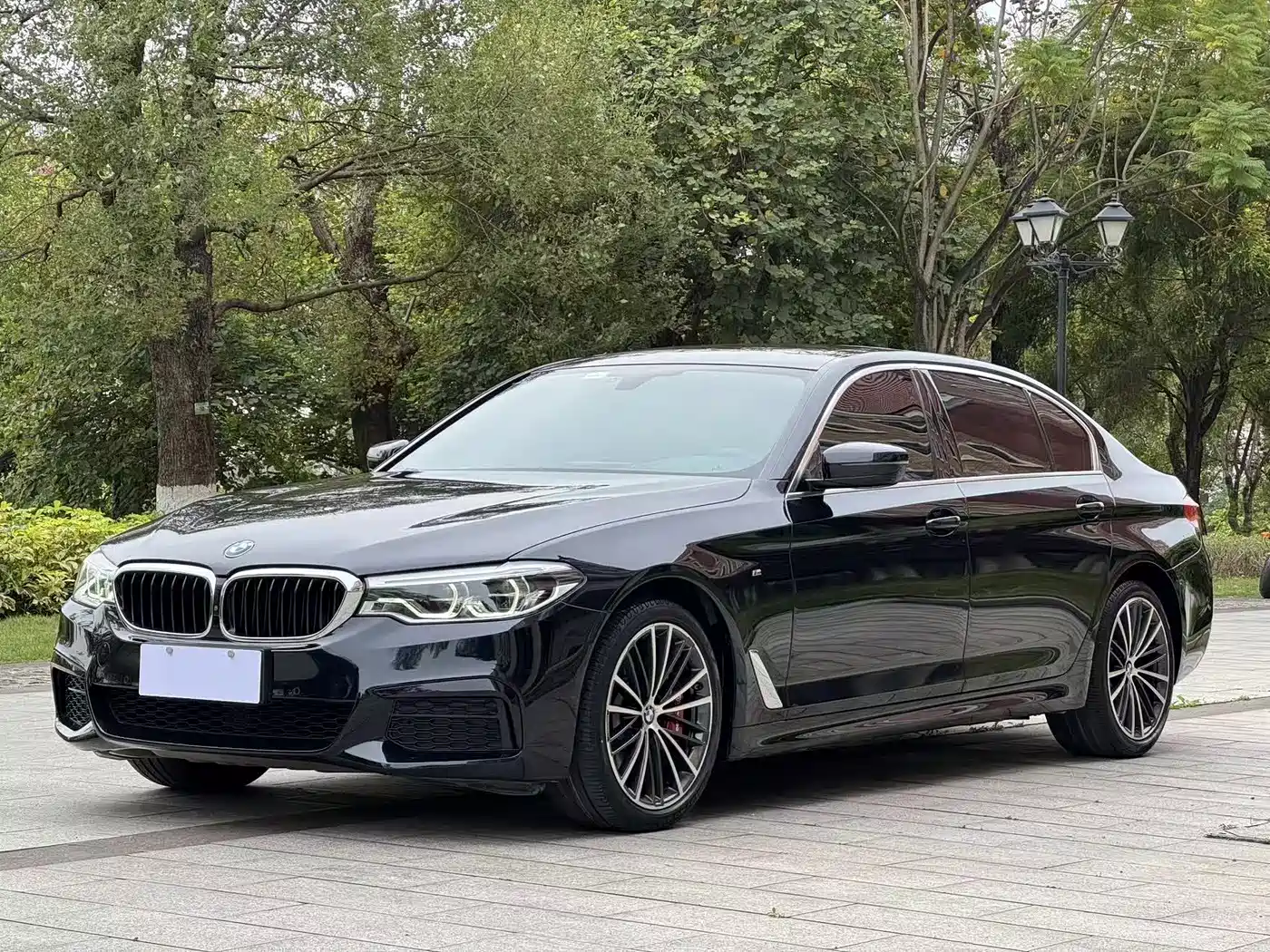 BMW 5 Series 2020 530Li Exclusive M Sport Package