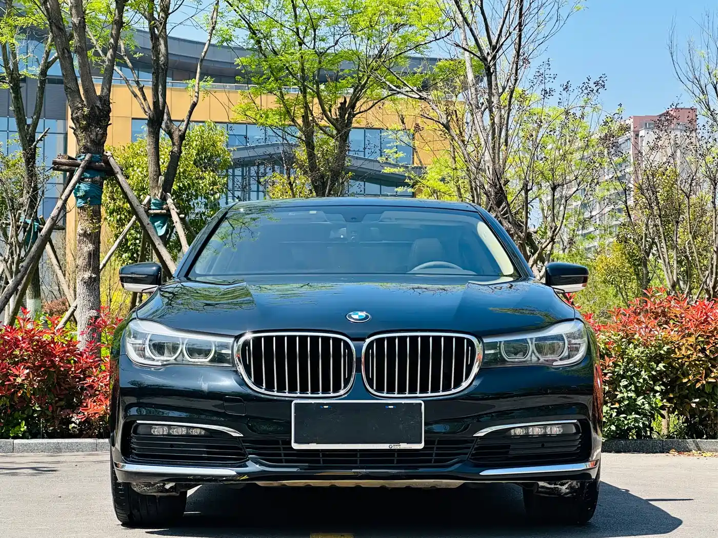 BMW 7 Series 2016 730Li Leading фото 2
