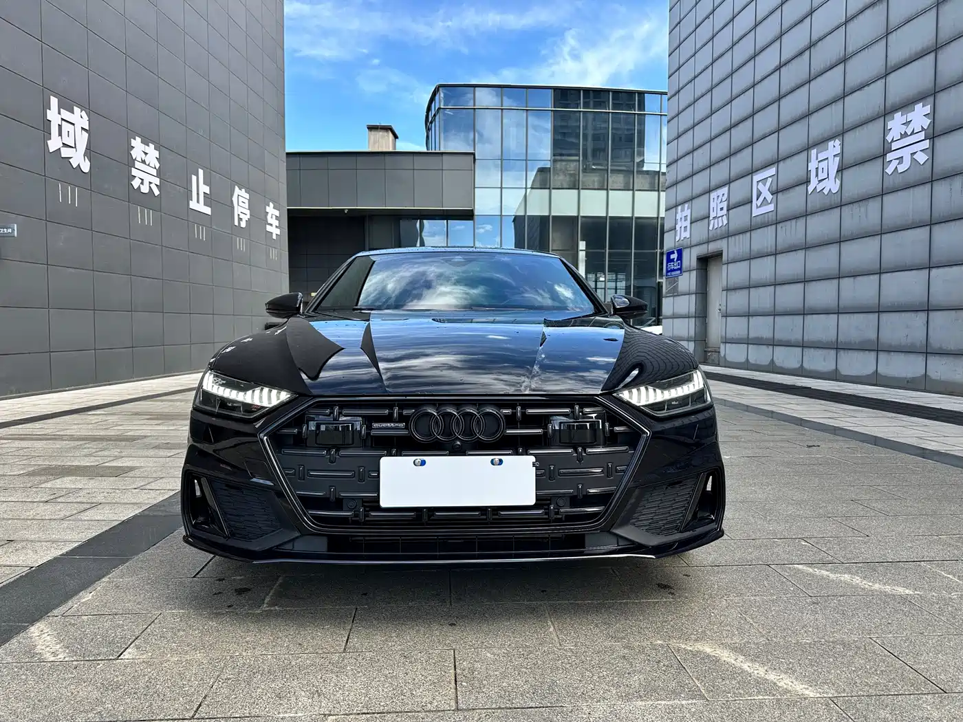Audi A7L 2023 2023 45 TFSI quattro S-line Shadow Warrior Edition