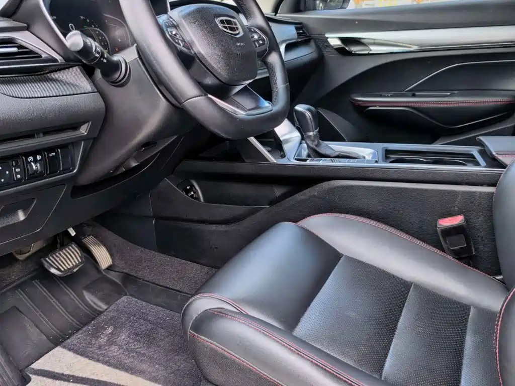Фото 8 - Geely Binrui