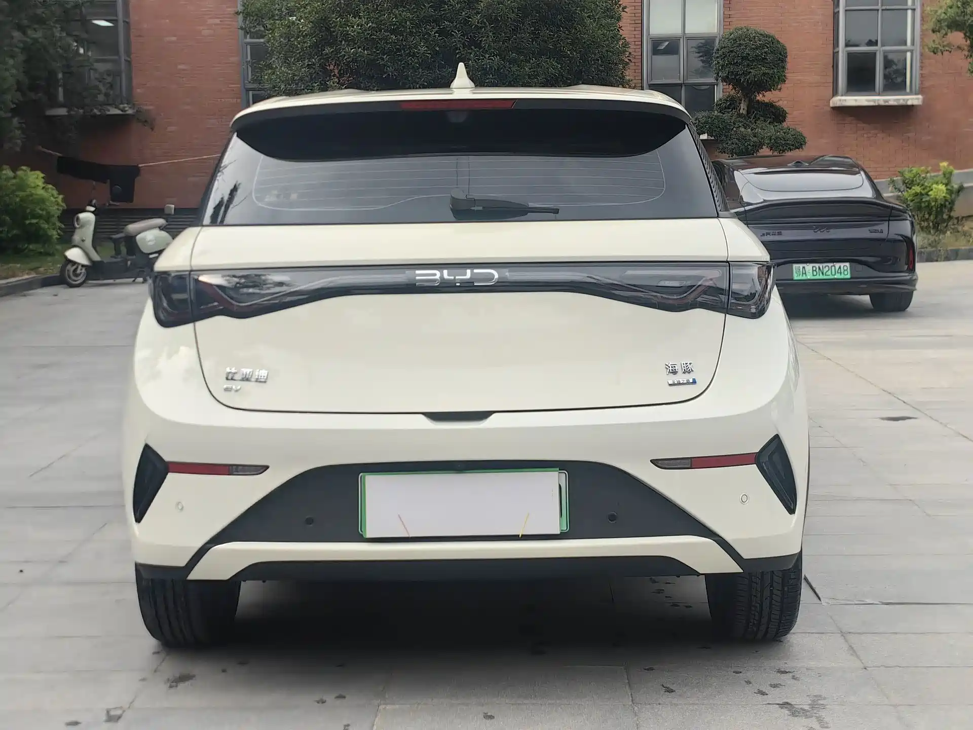 Photo 11 - BYD Dolphin
