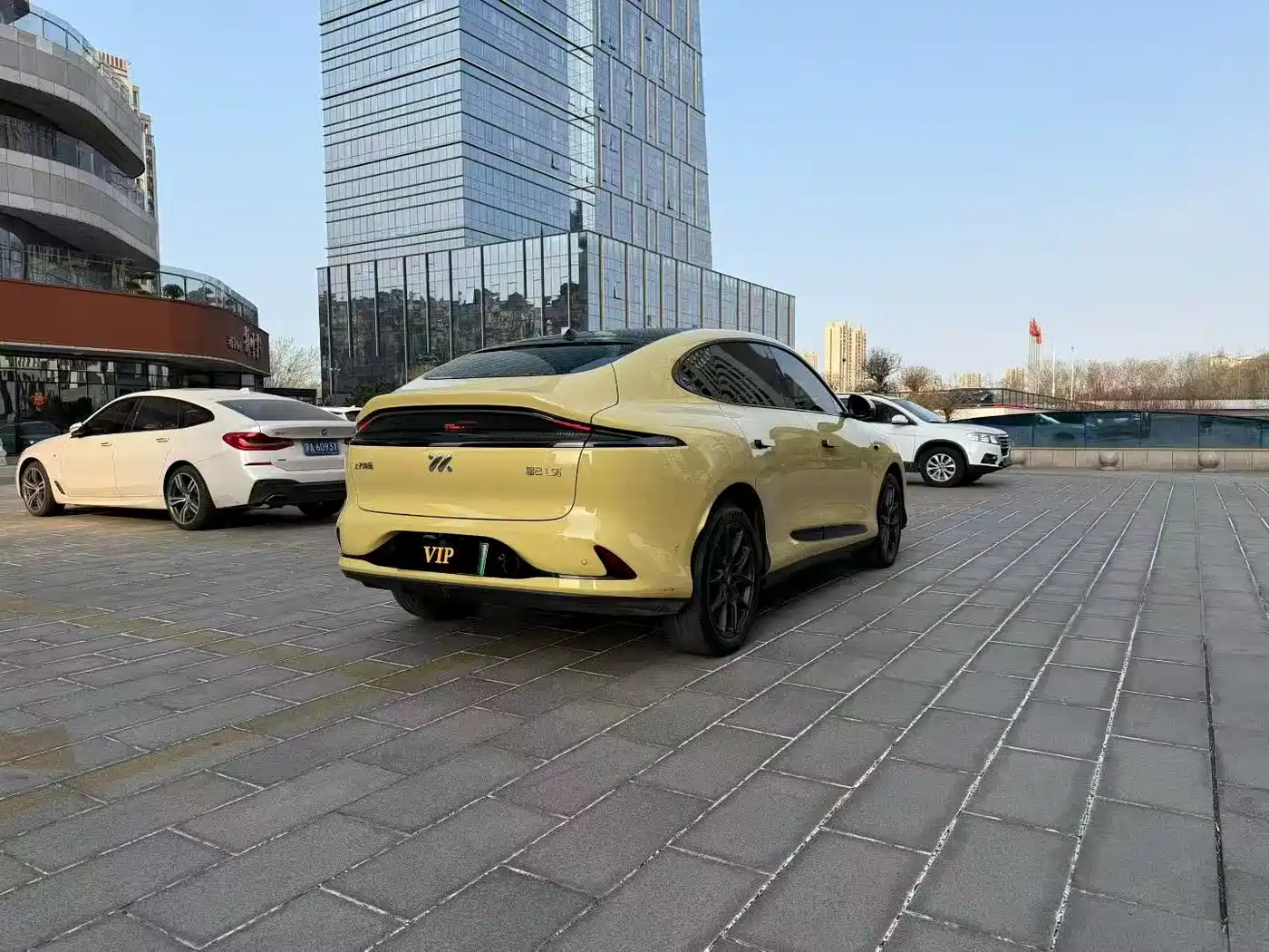 ZHIJI AUTOMOBILE ZHIJI LS6