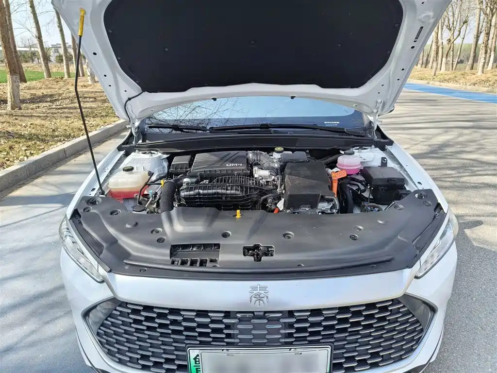 BYD Qin PLUS 2024 Glory Edition DM-i 55KM Leading фото 10