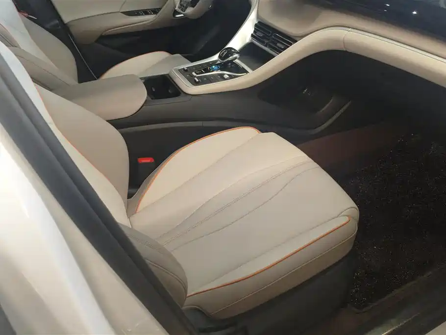 BYD Song Pro New Energy 2024 Glory Edition DM-i 71KM Leading фото 8