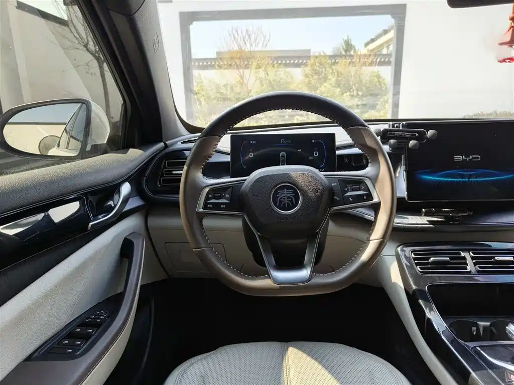 BYD Qin PLUS 2024 Glory Edition DM-i 55KM Leading фото 3