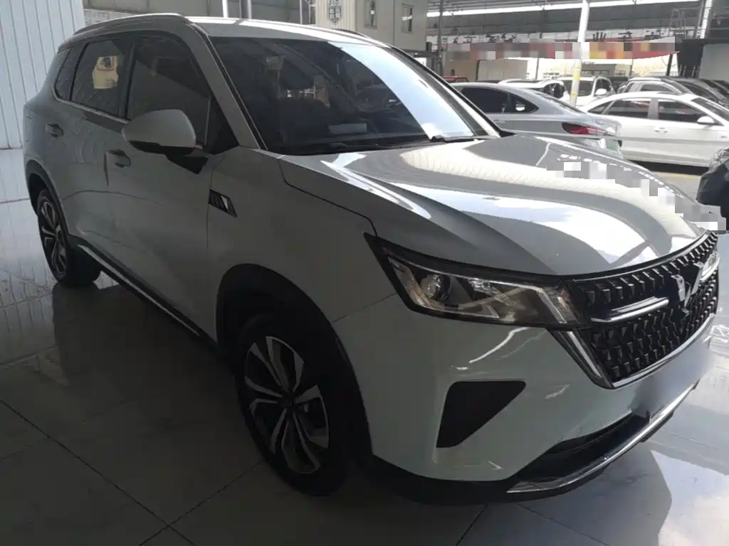 Wuling Motors Wuling Xingchen 2023 2022 2.0L DHT Electric Power Edition