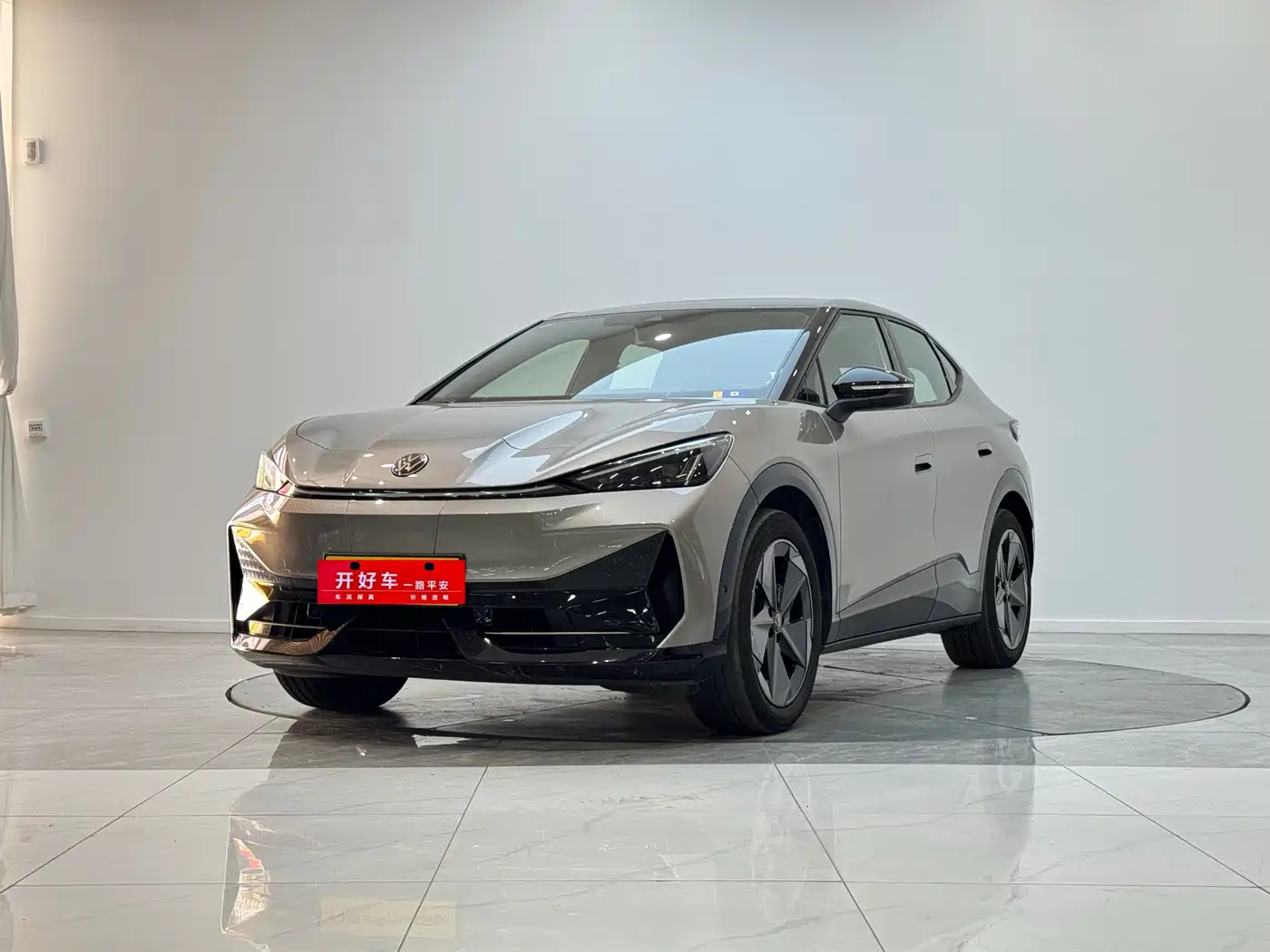 VOLKSWAGEN WITH THE CROWD 06